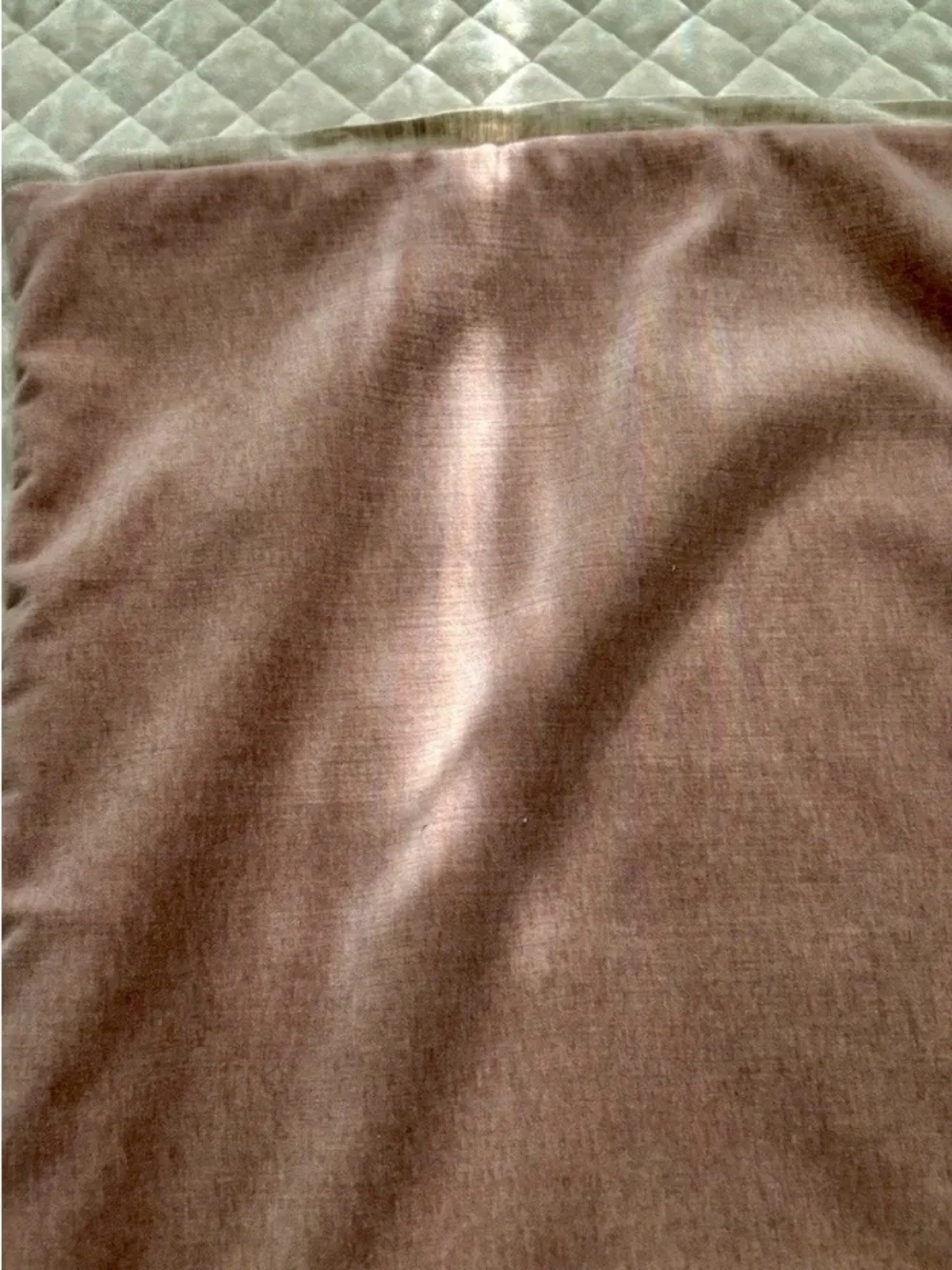 West Elm Velvet  Pillow Covers (2)